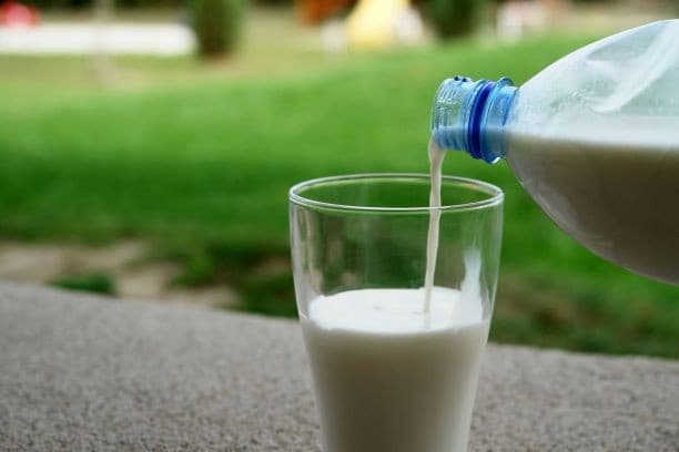 The construction of a new facility to develop a world-first innovation to extend the expiry date of fresh milk has been greenlit, thanks to a manufacturing grant.
