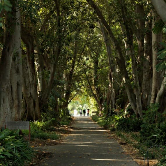 people walking through the