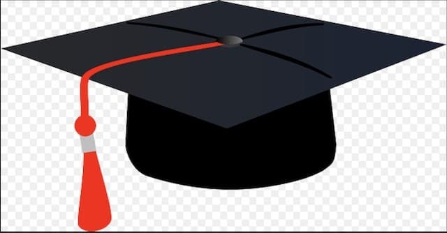 Engineering graduates