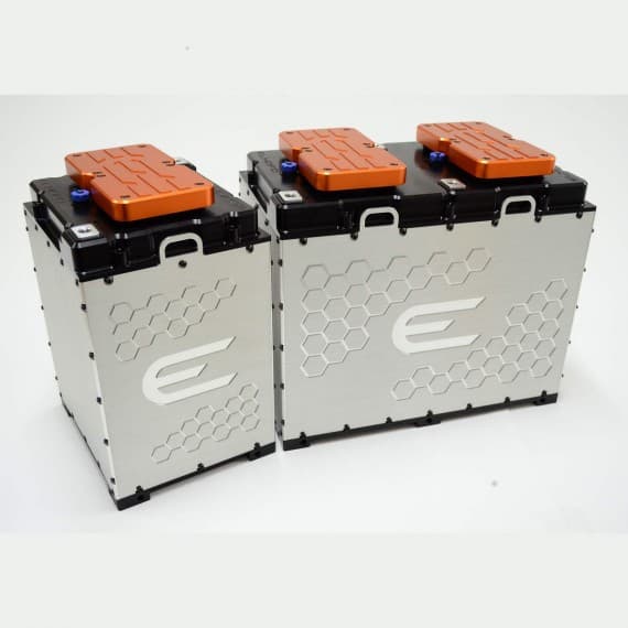 ELMOFO E Cells