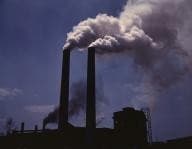Carbon tax impact should be gradual: ACCC