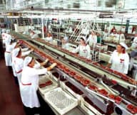 Food and beverage manufacturing improves