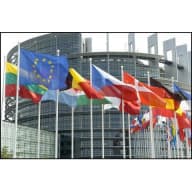 European manufacturing finishes year on a high