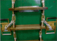 Climbing a ladder to success