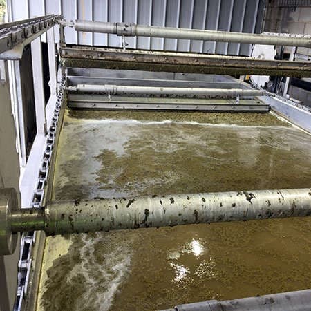 Dissolved air flotation (DAF)