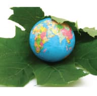 Sustainability conference has tongues wagging