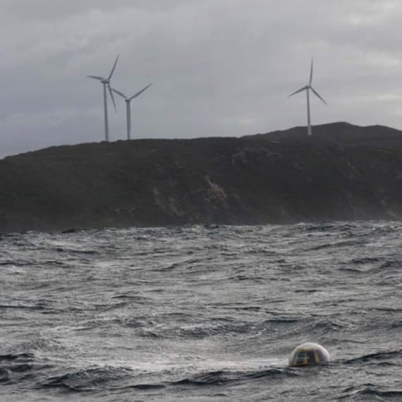 A data buoy has been deployed 1.5km off the Albany wind farm
