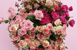 With Valentine’s Day just around the corner, the Australian Made Campaign is calling on all of us to show their love for Aussie farmers by ensuring their loved ones receive Australian-grown bouquets.