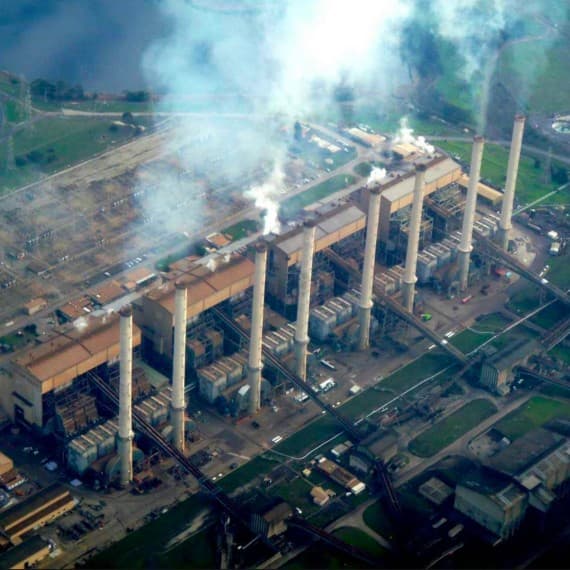 Hazelwood