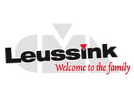 Leussink eases pressure for Aussie engineers